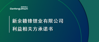 新余俄罗斯专享会294有限公司利益相关方承诺书